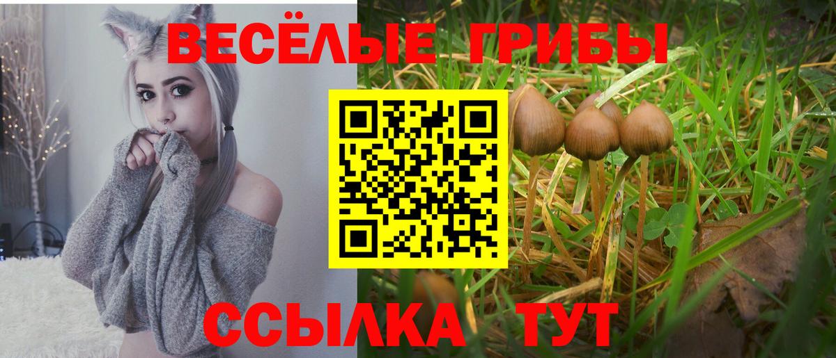 Галлюциногенные грибы Cubensis  Вход с VPN  Псилоцибиновые грибы Cubensis  Елец 